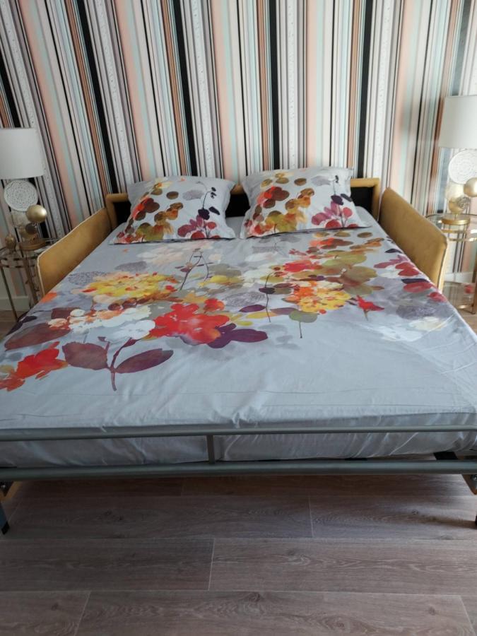 Rez-De-Chaussee Privatif Spacieux 3* D'Une Villa Centre Ville 耶尔 外观 照片